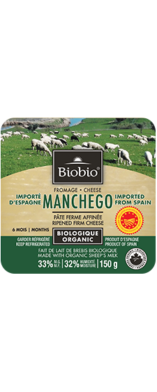 Fromage Manchego